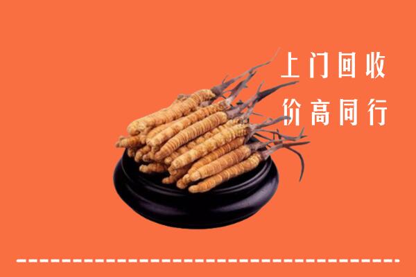 三沙回收冬虫夏草