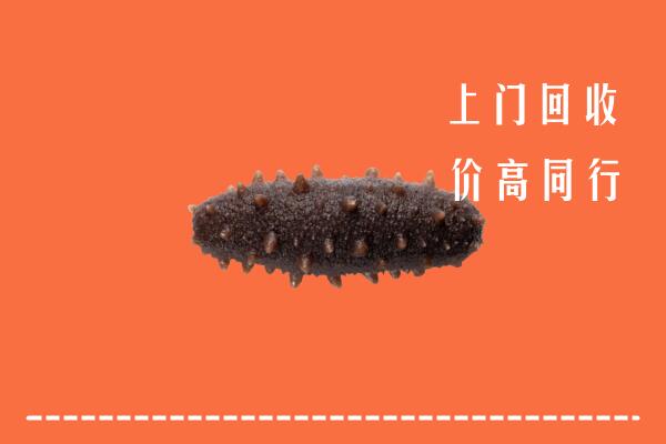 三沙高价回收海参